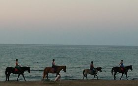 Sandy Beach